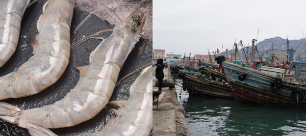 建造一個(gè)海鮮冷庫多少錢？